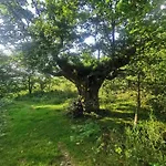 Rural Penasagra Zajazd
