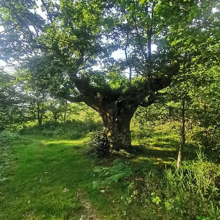 Rural Penasagra Fogadó