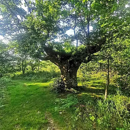 Πανδοχείο Rural Penasagra Quintanilla